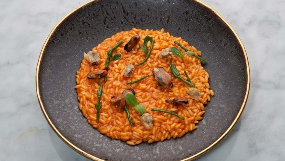 STEFANOKITCHEN-il-magnifico